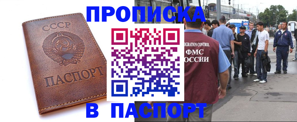 временная регистрация поиск в Шатуре